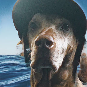 Meet your Posher, Abraham